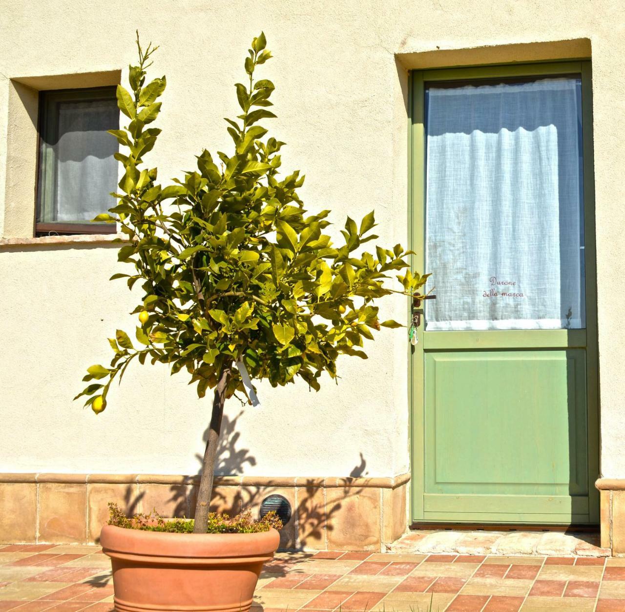 B&B Ceresà - Country House Loreto Esterno foto
